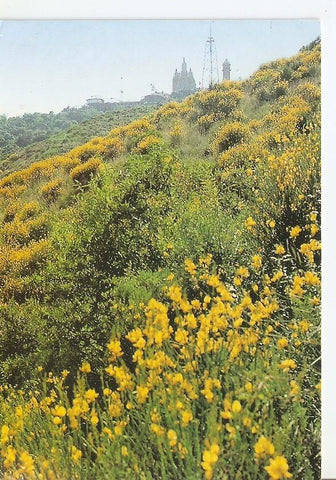 Postal 033979 : Area metropolitana de Barcelona. Parc de Collserola