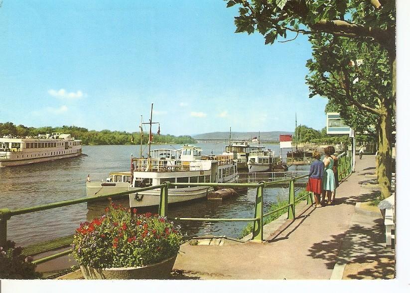Postal 037276 : Wiesbaden-Biebrich. Rheinufer