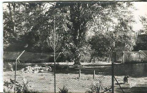Postal-Postcard 17273: LUC-SUR-MER - Le jardin public et le kangourou
