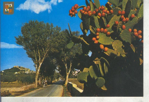 Postal 013704: Capdepera en Mallorca