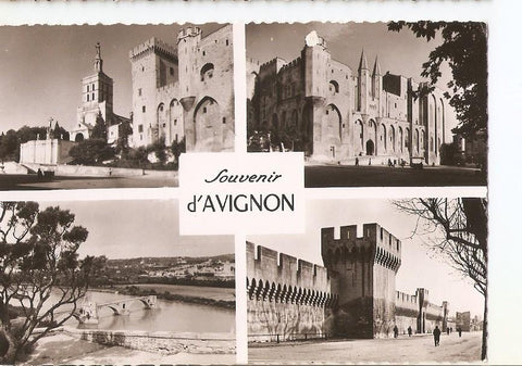 Postal 035745 : Souvenir dAvignon
