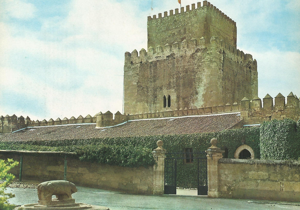 Lamina 0086: Castillo de Ciudad Rodrigo (Salamanca)