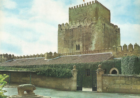 Lamina 0086: Castillo de Ciudad Rodrigo (Salamanca)