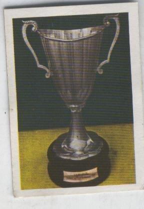 Cromos: Futbol 1980-81 numero 174: Trofeo de la Recopa