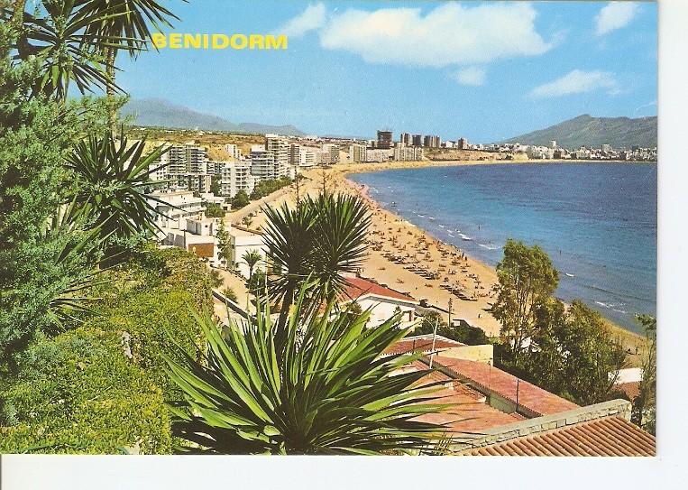 Postal 049231 : Benidorm (España)