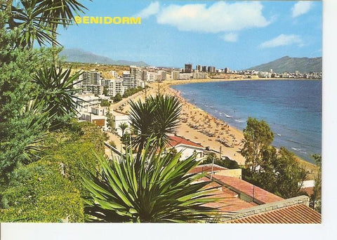 Postal 049231 : Benidorm (España)