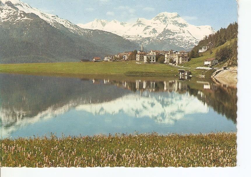Postal 034546 : Silvaplana - Suiza