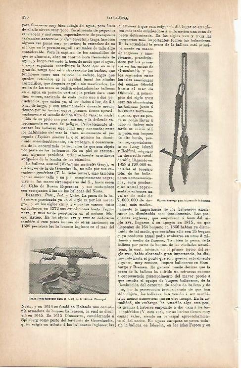 LAMINA ESPASA 9712: Harpon para la pesca de ballenas