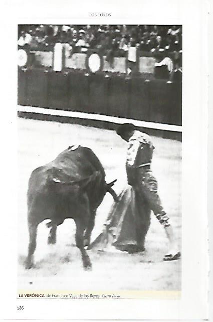 LAMINA COSSIO 50036: Veronica de Curro Puya