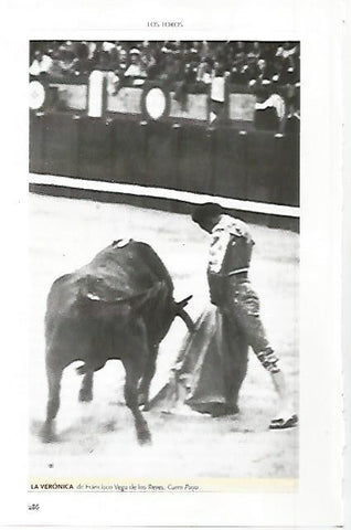 LAMINA COSSIO 50036: Veronica de Curro Puya