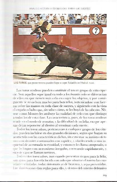 LAMINA COSSIO 50135: Rafaelillo en Madrid 2006