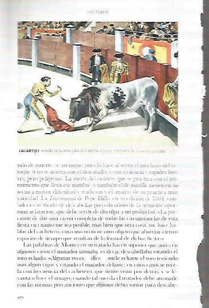 LAMINA COSSIO 50200: Lagartijo tirando la puntilla