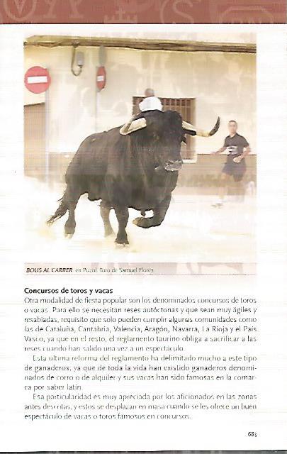LAMINA COSSIO 50266: Bous al carrer en Puzol. Valencia