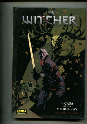 The Witcher: la casa de las vidrieras