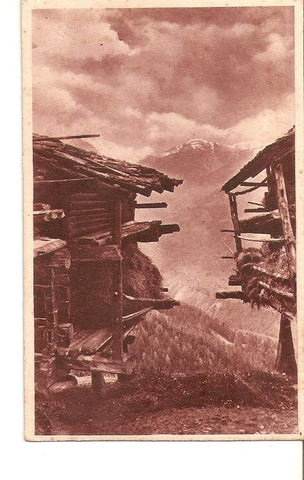 Postal 023718 : Cabañas en el bosque