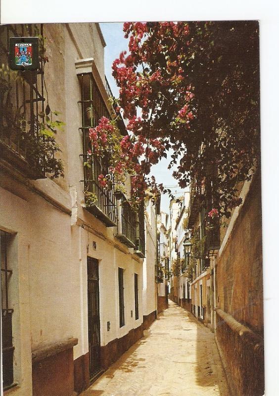Postal 026497 : Calle de la Pimienta, Sevilla