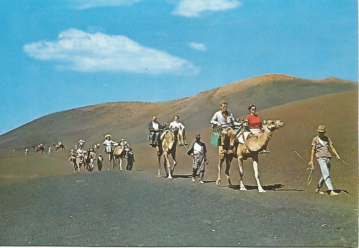 Postal 52298: LANZAROTE - Caravana de camellos