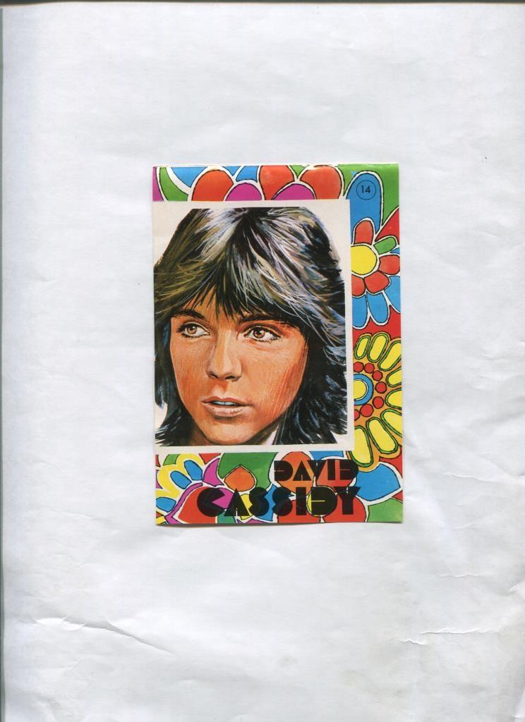 Cromo de David Cassidy publicado en la revista Lily numero 0614,  10 x 15,5 cm de Manolo Escobar