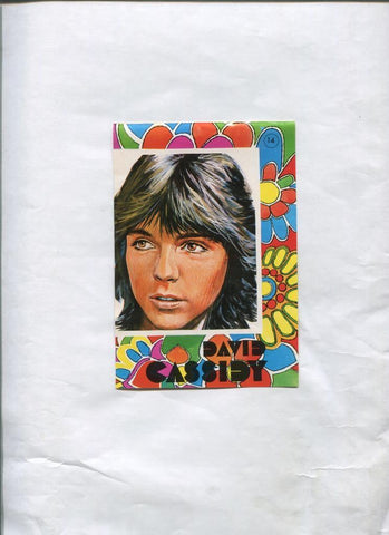 Cromo de David Cassidy publicado en la revista Lily numero 0614,  10 x 15,5 cm de Manolo Escobar