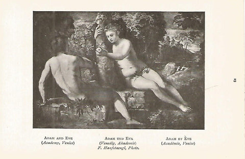 Lamina 040: TINTORETTO. Adan y Eva