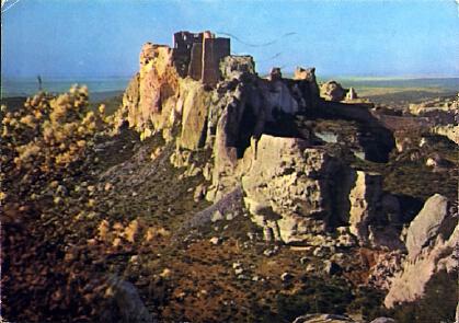 POSTAL 56221: Les baux de Provence le château et Amandiers en fleurs
