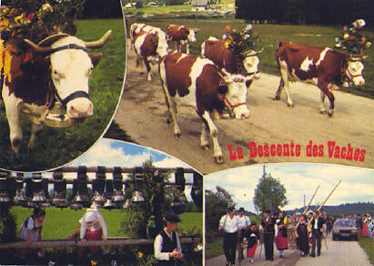 POSTAL 56249: Le Descente des Vaches