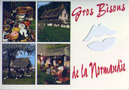 POSTAL 56254: Gros Bisons de la Normandie