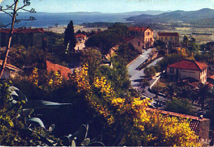 POSTAL 56261: Bormes les Mimosas (Var)