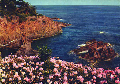 POSTAL 56262: La Cote d Azur miracle de la nature Cote de l Esterel (Var)