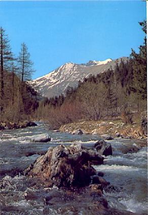 POSTAL 56340: Alpes Maritimes le torrent de Casterino
