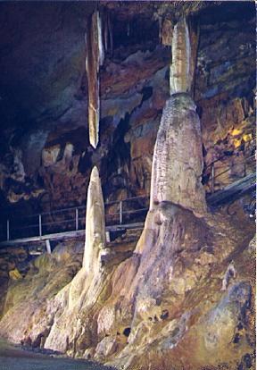 POSTAL 56366: Les grottes de Betharram Columna en via de formacion