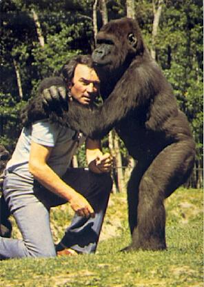 POSTAL 56403: Zoo de la Palmyre Claude Caille directeur du zoo avec son ami King Kong le gorile