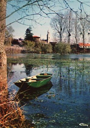 POSTAL 56460: Bords du Tenu a St Mars de Coutais