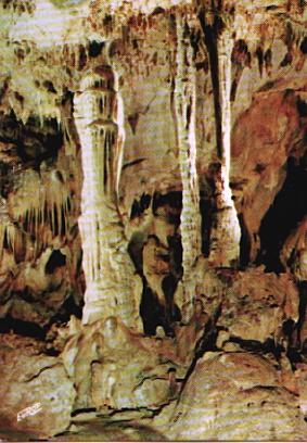 POSTAL 56461: Grottes d Isturitz et d Oxocelhaya