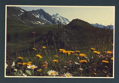 POSTAL 56493: Val d Isere Harmonie