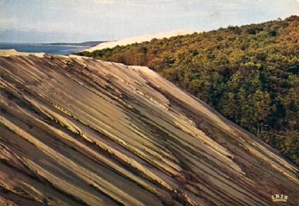 POSTAL 56513: Bassin d Arcachon Au Pyla les Dunes
