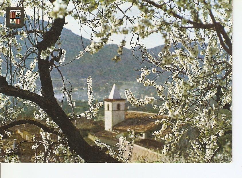 Postal 028766 : Almendros en Flor. Mallorca