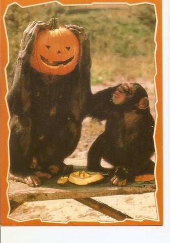 Postal 033285 : Halloween