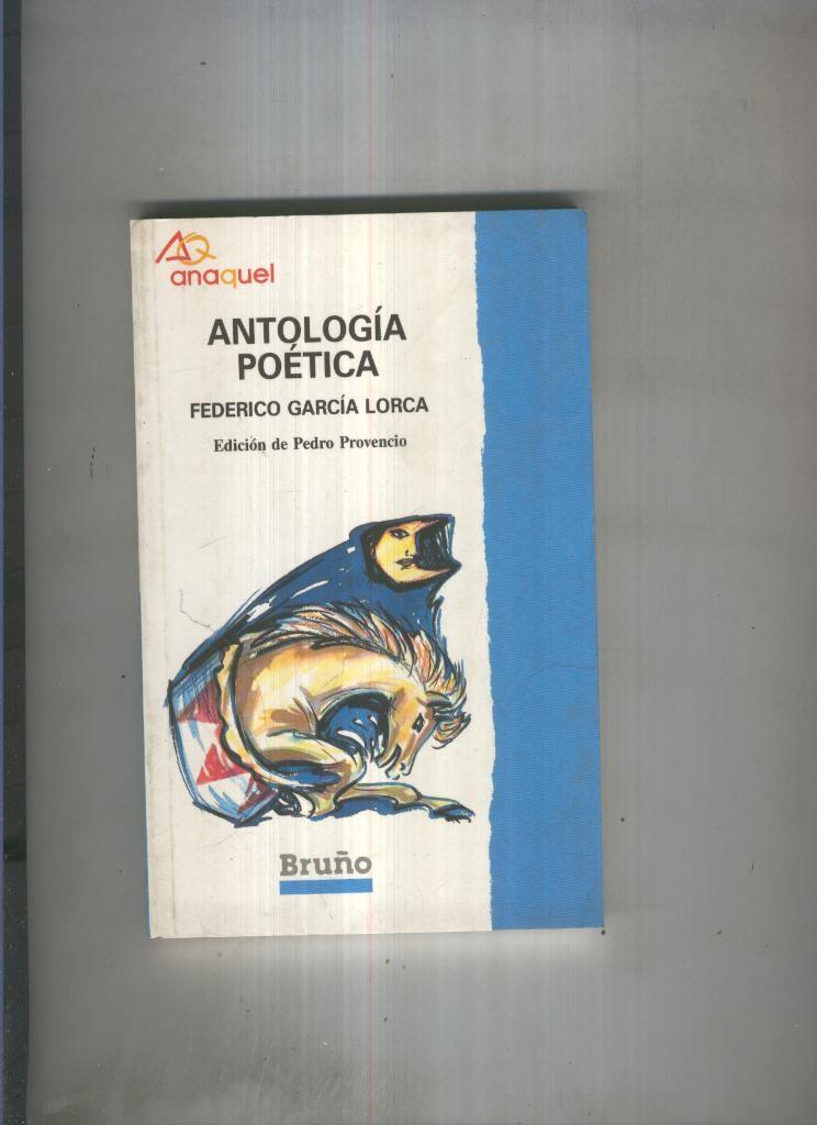 Antologia Poetica de Federico Garcia Lorca