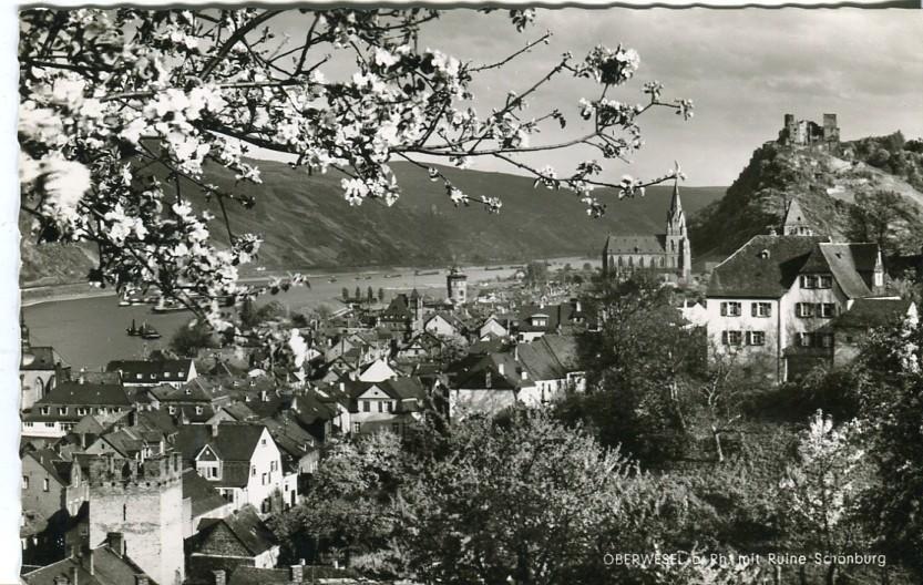 Postal-Postcard 17242: AM SCHONEN RHEIN - Oberwesel Ruine SCHONBURG