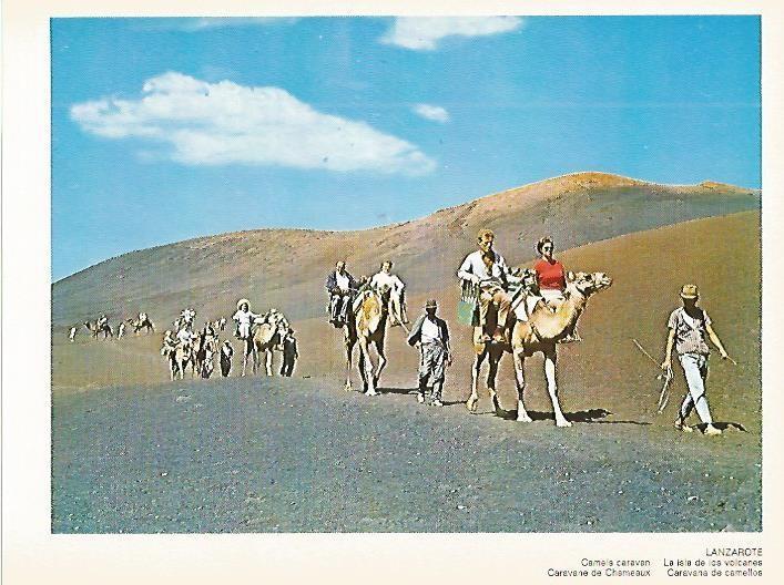 LAMINA 1696: LANZAROTE. Caravana de camellos