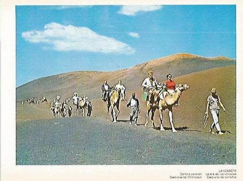 LAMINA 1696: LANZAROTE. Caravana de camellos