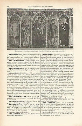 LAMINA ESPASA 17741: La Virgen y el Niño por Melanzio