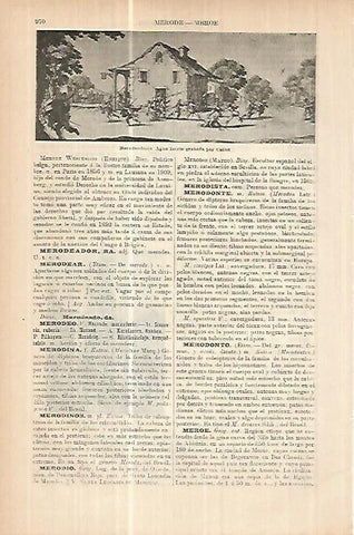 LAMINA ESPASA 17852: Merodeadores por Callot