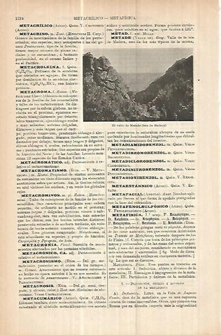 LAMINA ESPASA 17879: Valle de Metade en la isla de Madera