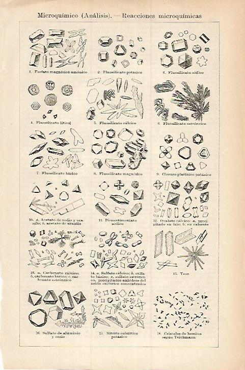 LAMINA ESPASA 17924: Reacciones microquimicas