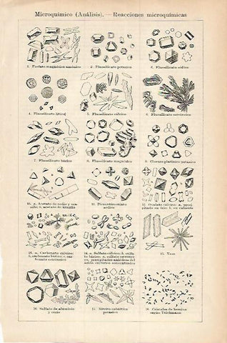 LAMINA ESPASA 17924: Reacciones microquimicas