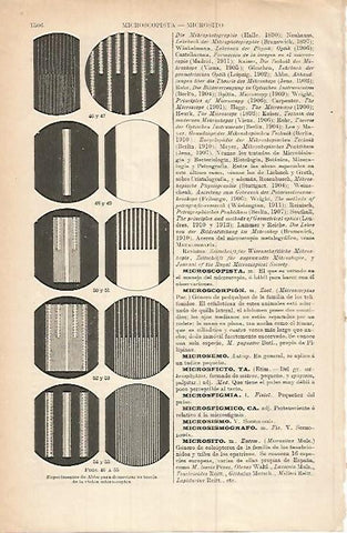LAMINA ESPASA 17930: Experimento de Abbe