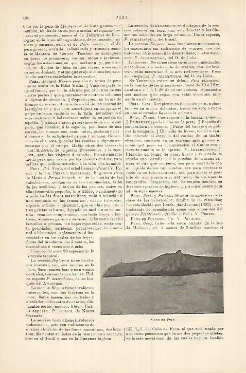 LAMINA ESPASA 17974: Cabo de Pera