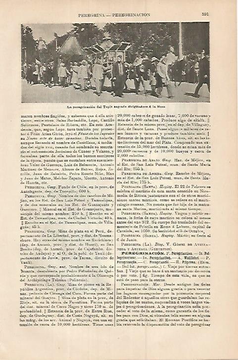 LAMINA ESPASA 17984: Peregrinacion en La Meca